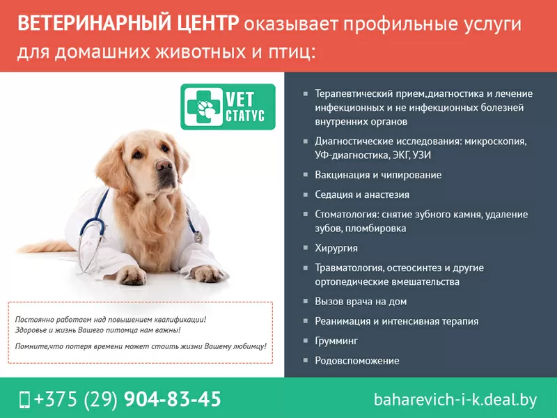 Ветеринарная помощь для ваших любимых питомцев.